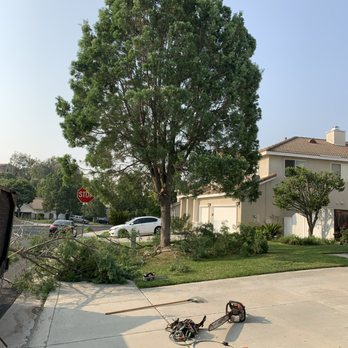 New Generation Tree Care - Tree removal - Tree Services Near Me New Generation Tree Care - Tree removal - Tree Services Near Me