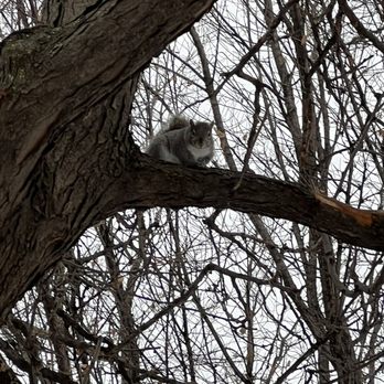 Loring Park - I always feel like somebody's watching me - Dog Parks Near Me - Minneapolis, Minnesota