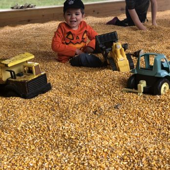 Skinny Bones Pumpkin Patch - Pumpkin Patches Near Me - Blair, Nebraska
