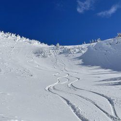 K3 Cat Ski