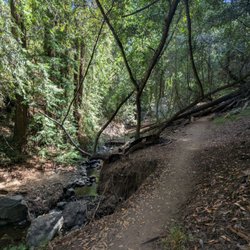 Leona Heights Park - Uphill