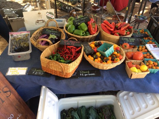 Colorado Farm & Arts Market @ Margarita at Pine Creek by null
