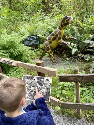 Prehistoric Gardens by null