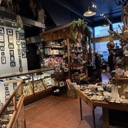 Paxton Gate - Such an interesting store