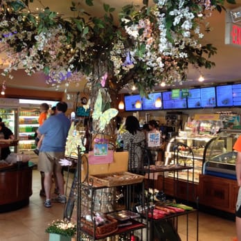 Breeze Bakery Cafe - Bakeries Near Me - Annandale, Virginia Breeze Bakery Cafe - Bakeries Near Me - Annandale, Virginia