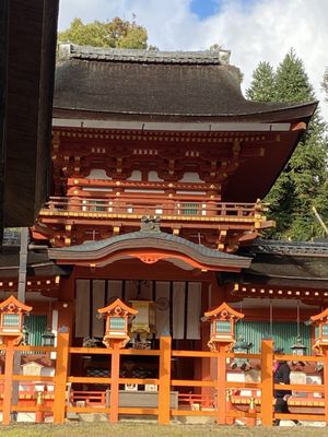 Kasugataisha Shrine by null
