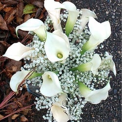 Flowers For All Occasions