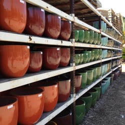 Planter Paradise - Great selection