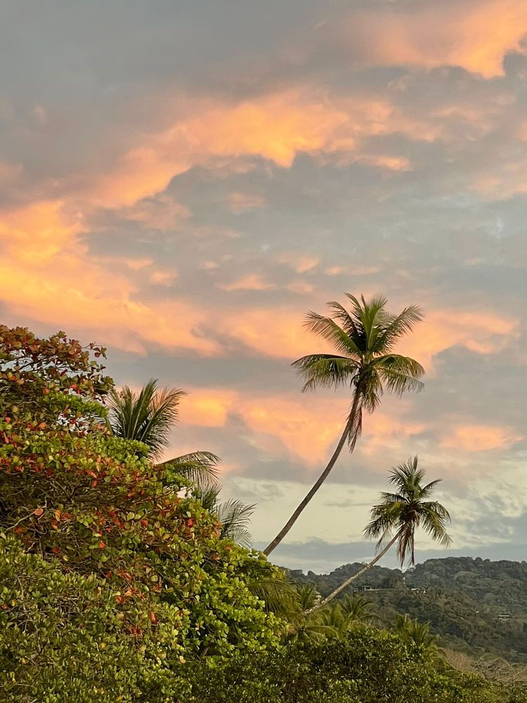 Law Office of Keri Nesbitt - immigration attorney in Ventura, CA