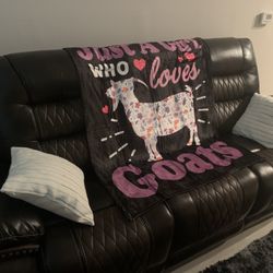 Badcock Home Furniture &more - Awesome sofa (pillows and blanket were bought separately on Amazon)