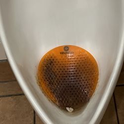 Arby's - The restroom stunk so badly, could it be this? Do they make more of these so they can replace this disgusting thing?