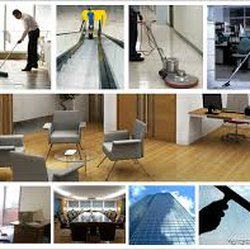 Dream Clean Solutions