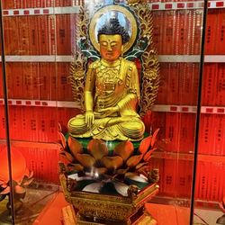 International Buddhist Society