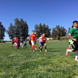 Dave Douglas Park