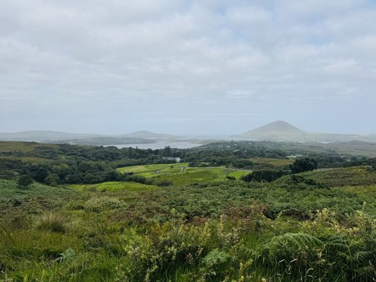 Connemara National Park by null
