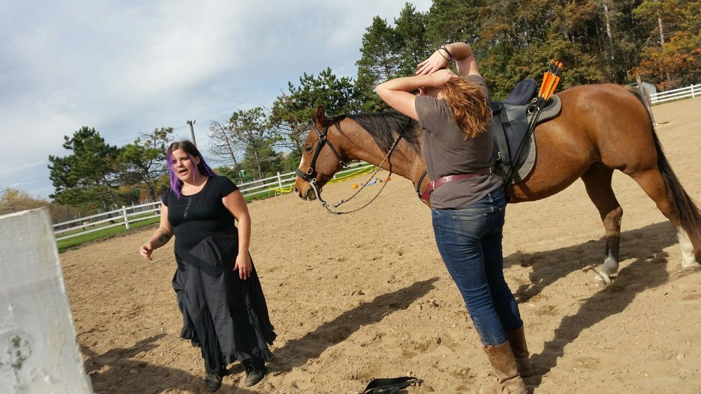 Healey's Outback Ranch and Guesthouse - equestrian in Stanwood, MI