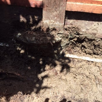 Borg Fence - They poured concrete over my water line - Fences & Gates Near Me - Livermore, California