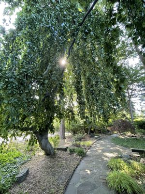 Rockefeller Park & Greenhouse by null