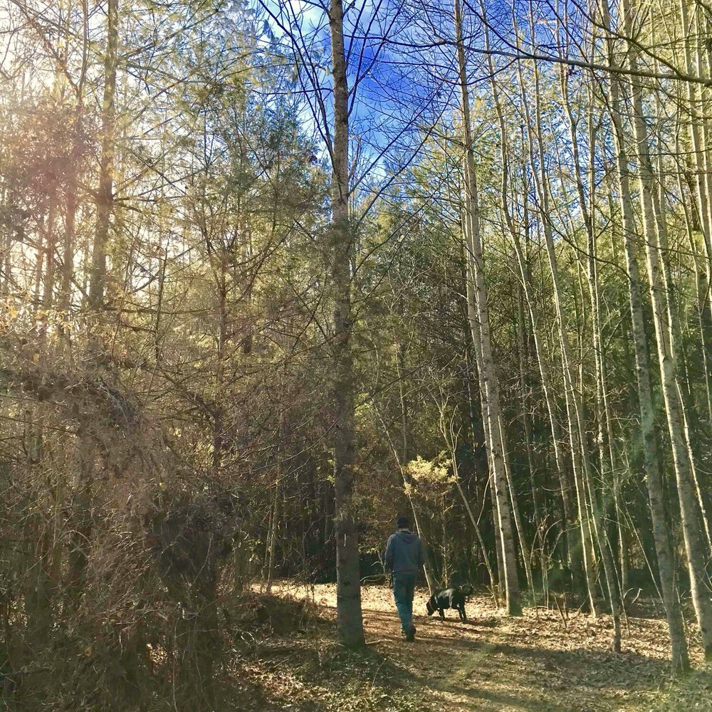 David Crockett Birthplace State Park - Campgrounds Near Me - Limestone, Tennessee