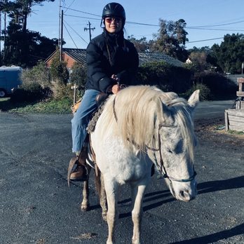 RICOCHET RIDGE RANCH - Updated September 2024 - 165 Photos & 177 ...