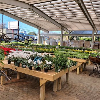 Shoal Creek Nursery - Small plants and flowers - Nurseries & Gardening Near Me - Austin, Texas Shoal Creek Nursery - Small plants and flowers - Nurseries & Gardening Near Me - Austin, Texas