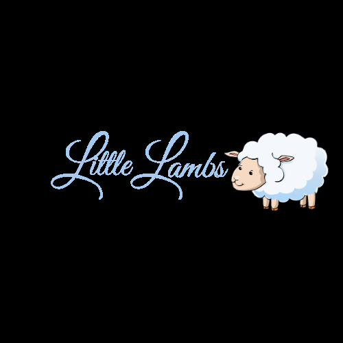 Little Lambs Children's Center - childcare center in Tallahassee, FL