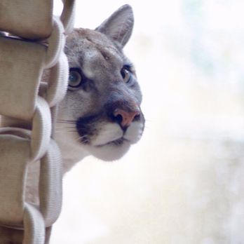 The Creature Conservancy - Community Service/Non-Profit Near Me - Ann Arbor, Michigan