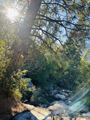 Roaring River Falls by null