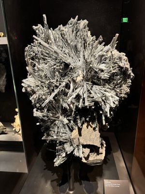 Yale Peabody Museum by null