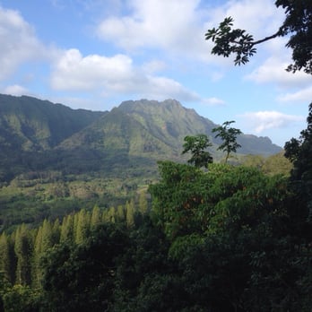 Judd Trail - Hiking Near Me - Honolulu, Hawaii
