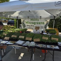 Mission Valley Farmers Market