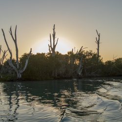 Charlotte Harbor Tours