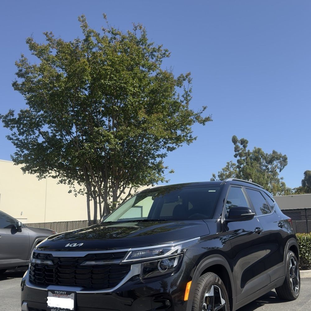 Showroom Pro Auto Detailing - Auto Detailing Near Me Showroom Pro Auto Detailing - Auto Detailing Near Me