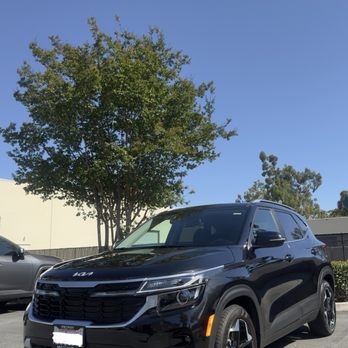 Showroom Pro Auto Detailing - Auto Detailing Near Me