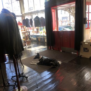 Al's Attire - My dog whiskey, chilling and eating complimentary Greenies. - Bespoke Clothing Near Me - San Francisco, California Al's Attire - My dog whiskey, chilling and eating complimentary Greenies. - Bespoke Clothing Near Me - San Francisco, California