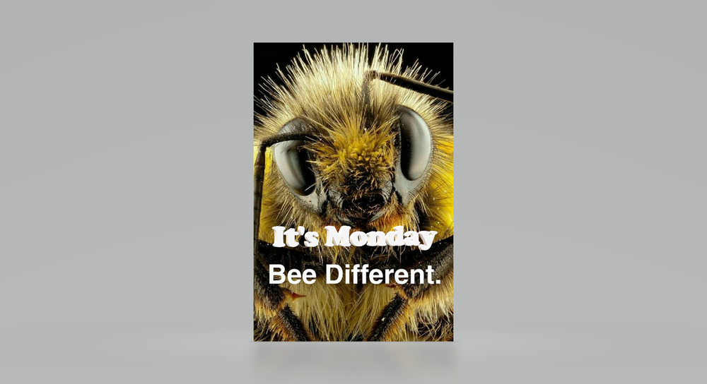 Slide of Bee Roofing