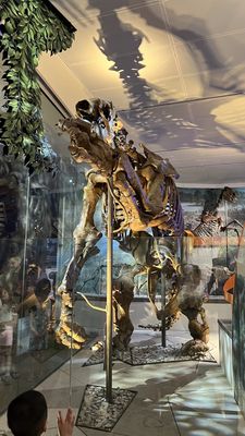 Sweet Crimes Gluten-Free Bakery by null Sweet Crimes Gluten-Free Bakery by null