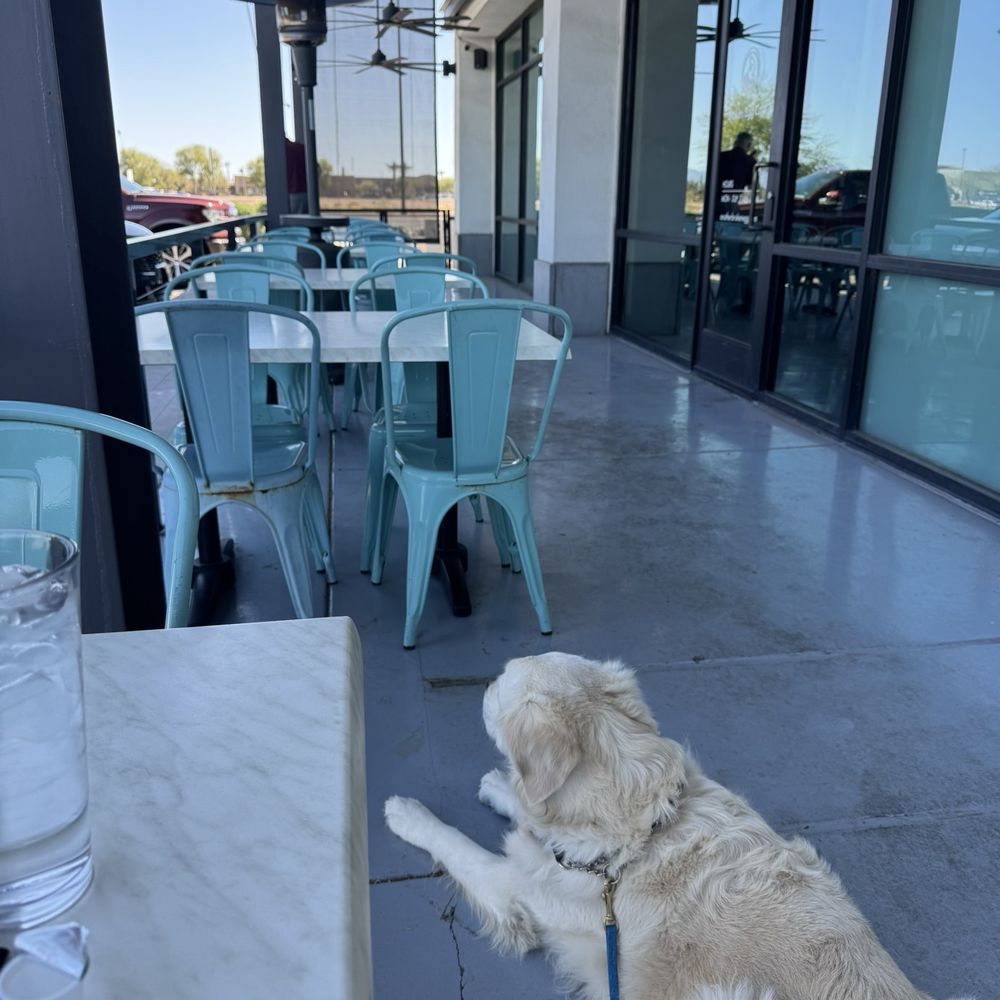 Another Broken Egg Cafe - Outdoor dog friendly patio - American Near Me - Gilbert, Arizona