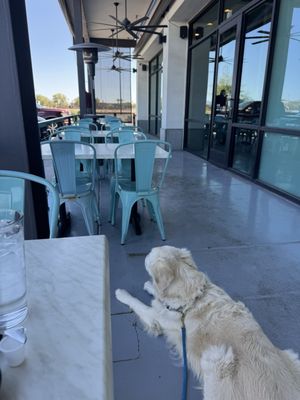 Another Broken Egg Cafe by null