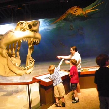 Calvert Marine Museum - Megatooth Shark - Museums Near Me - Solomons, Maryland