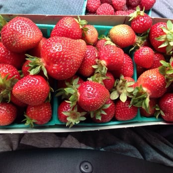 Halcyon Farms - Love - Farmers Market Near Me - Arroyo Grande, California