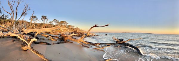Big Talbot Island State Park by null
