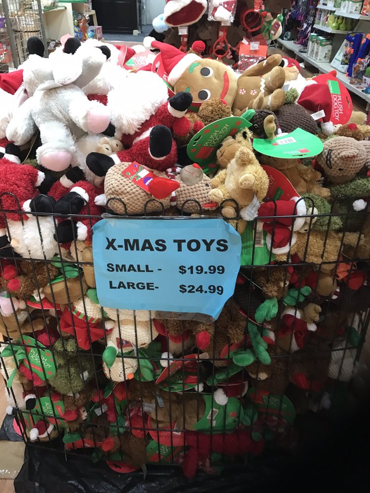 ROOM 4 PETS Updated October 2024 500 Oxford St, Bondi Junction New