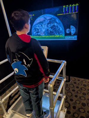 Buffalo Museum of Science by null