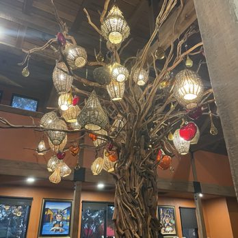Azteca D'Oro Mexican Restaurant Winter Garden - dining area - Mexican Near Me - Oakland, Florida Azteca D'Oro Mexican Restaurant Winter Garden - dining area - Mexican Near Me - Oakland, Florida