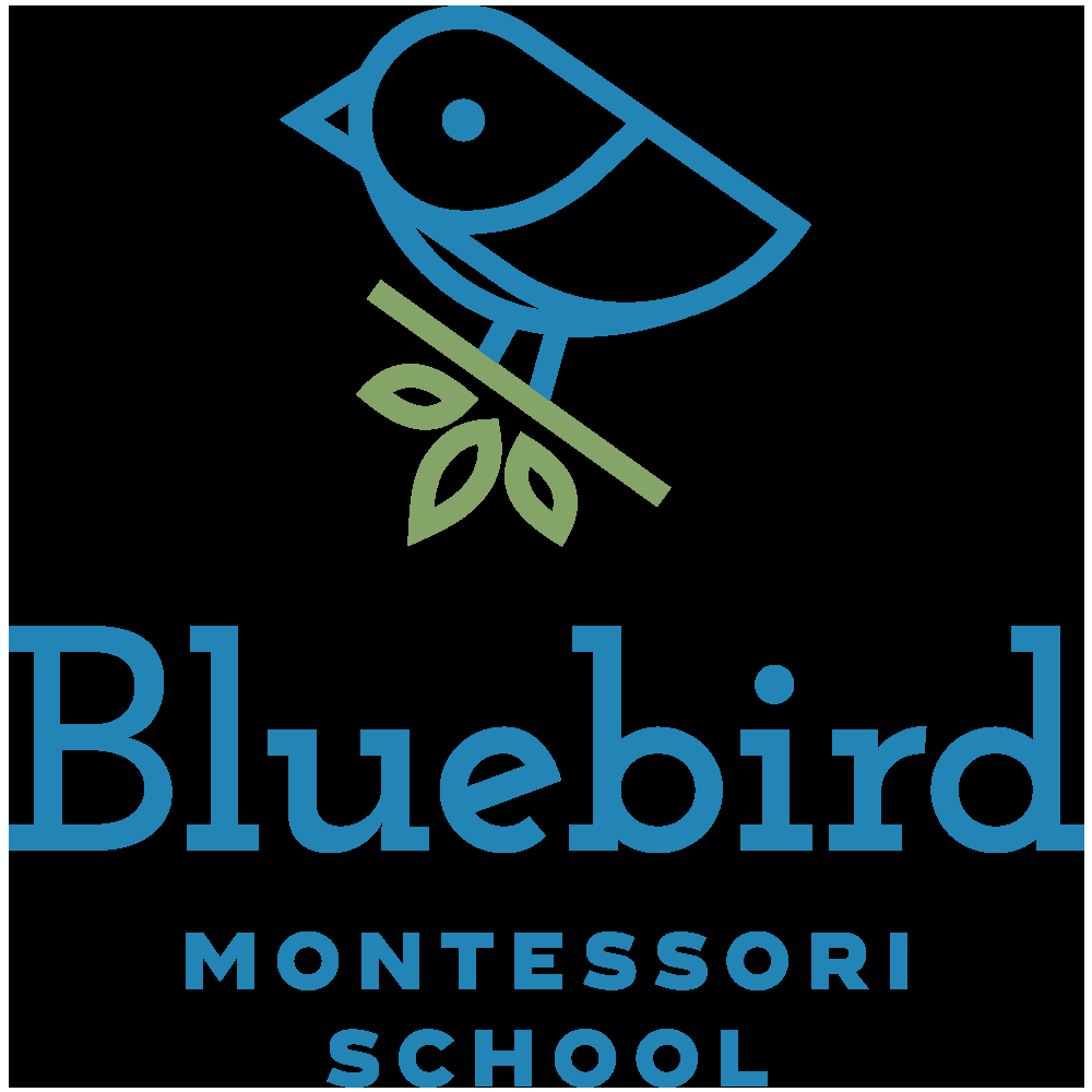 Bluebird Montessori School - childcare center in Saint Louis, MO