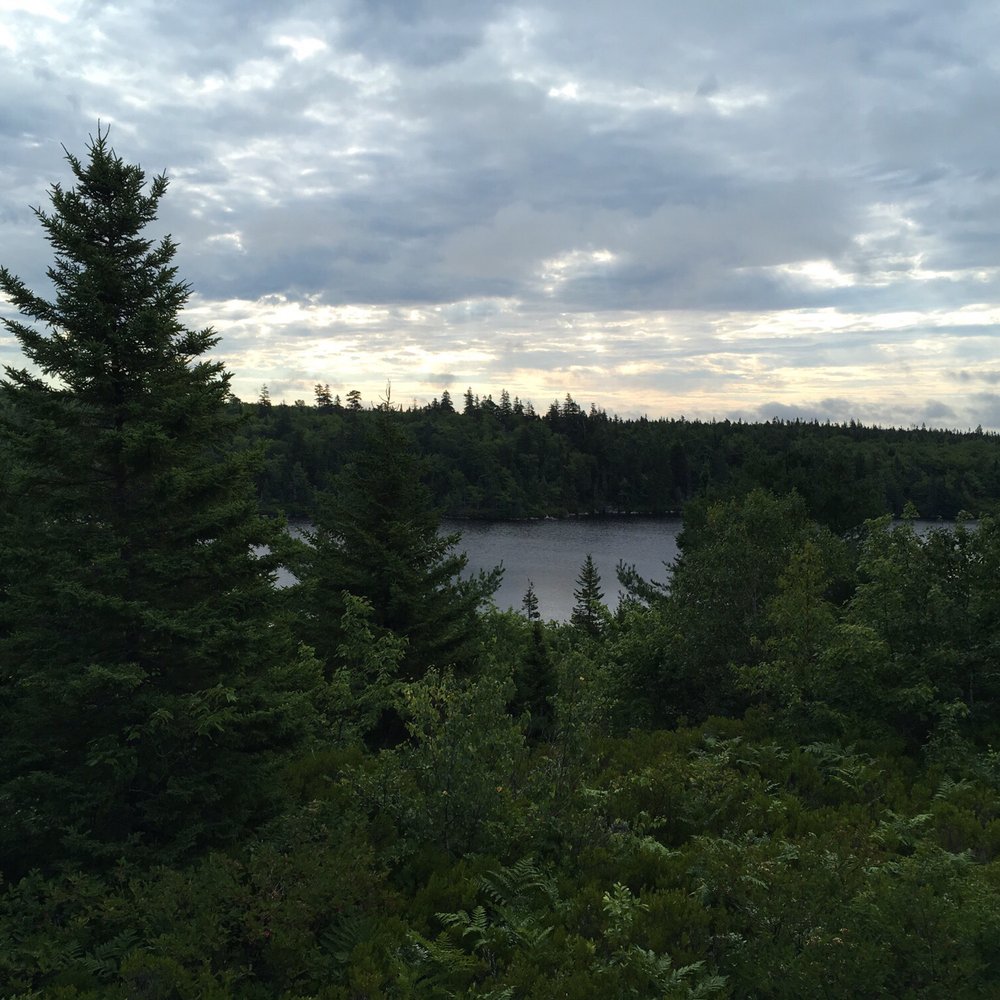Bluff Wilderness Hiking Trail - Great view - Hiking Near Me - Timberlea, Nova Scotia