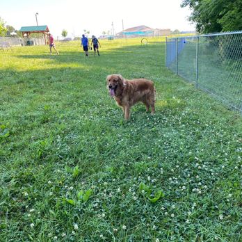 Central Bark Dog Park - Large Dog Side - Dog Parks Near Me - Smithville, Tennessee Central Bark Dog Park - Large Dog Side - Dog Parks Near Me - Smithville, Tennessee