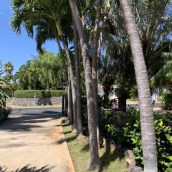 Nalu’s Landscaping , Housekeeping And Repairs