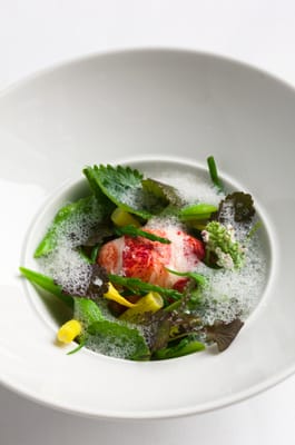 Lacroix Restaurant at The Rittenhouse by null